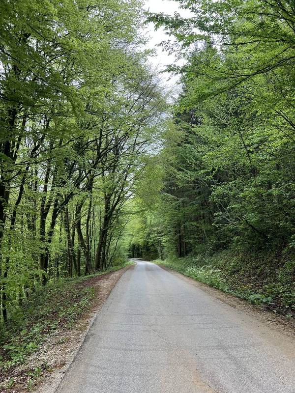 Forest path nearby